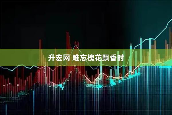 升宏网 难忘槐花飘香时