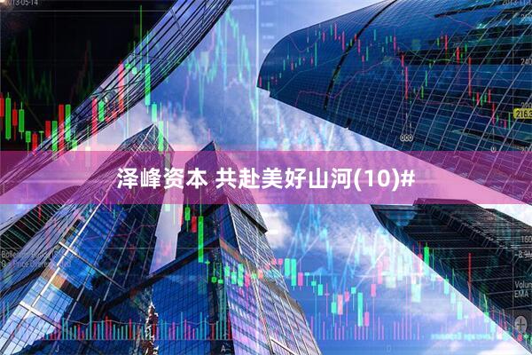 泽峰资本 共赴美好山河(10)#